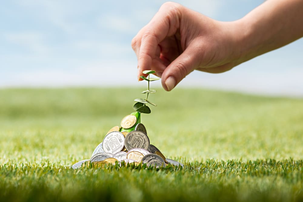Top 10 Mutual Funds For Investment In 2023