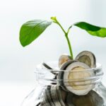 Mutual Funds For Investment In 2024